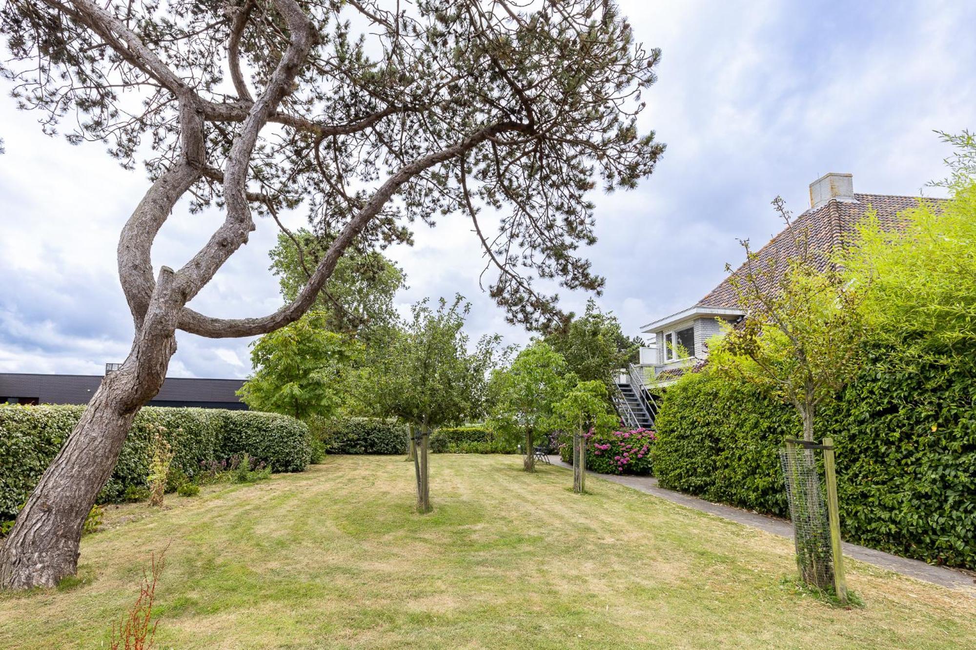 Vrijvakantiehuis Domburgseweg 52 Appartement โอชต์คาเปลเล ภายนอก รูปภาพ